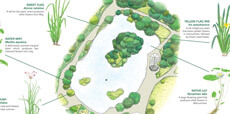 Nature Trails