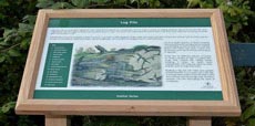 oak-lecterns